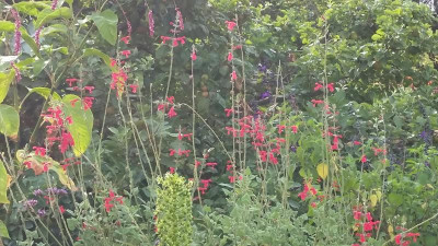 20180824_173434.jpg