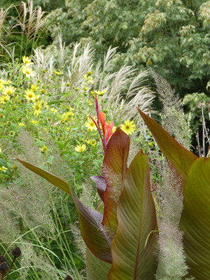 2018-09-13 Gartenimpressionen 1.jpg