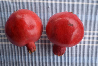 Zwetschgenmarmelade, Acco Granatapfel 003.JPG