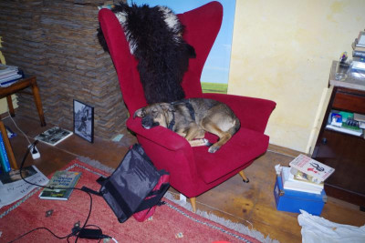 IMGP2647.JPG
