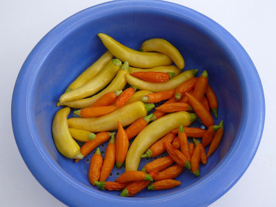 180914_Chili_1.jpg