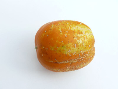 180914_Richmond Green Apple_old.jpg