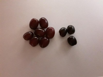20180915_203134.jpg