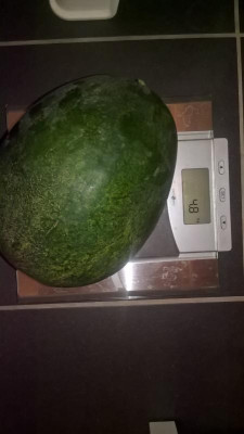 WP_20180916_12_30_07_Pro.jpg