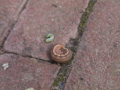 DSCF5575.JPG