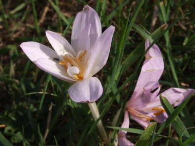 DSCF5583.JPG