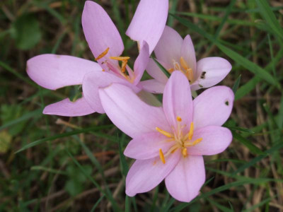 DSCF5591.JPG