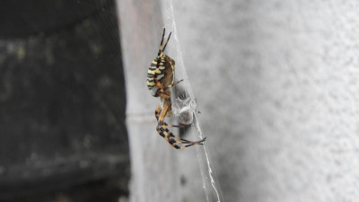 DSCN3700.JPG