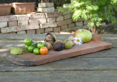 2018-09-16 Gartenimpressionen 1.jpg