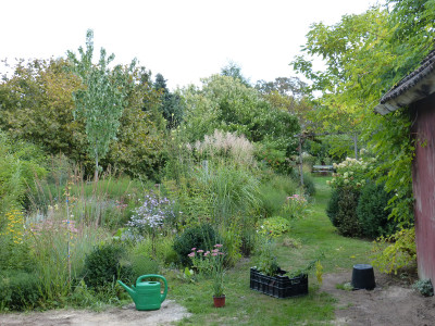 2018-09-16 Garteneinblick 2.jpg