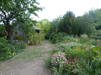 2018-09-16 Garteneinblick 3.jpg