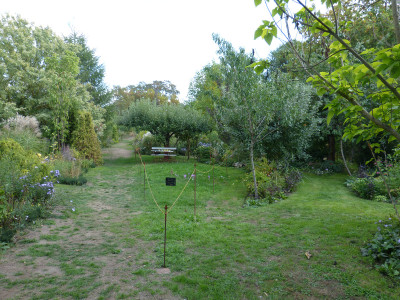 2018-09-16 Garteneinblick 5.jpg