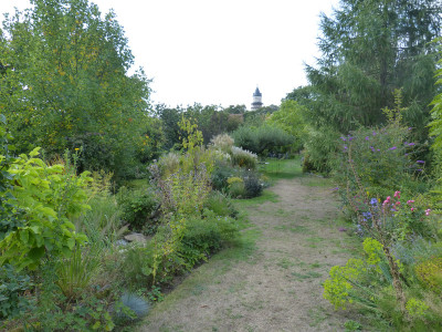 2018-09-16 Garteneinblick 8.jpg