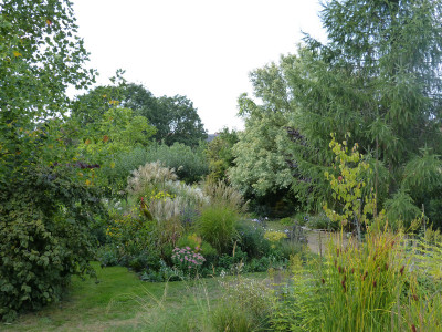 2018-09-16 Garteneinblick 9.jpg