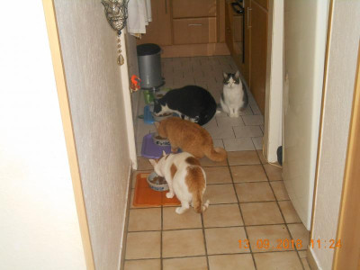 DSCN4969.JPG