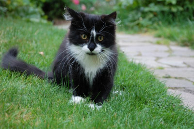 DSC_1857.jpg