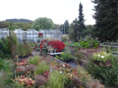 DSC08926.JPG