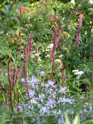 2018-09-22 Gartenimpressionen 4.jpg