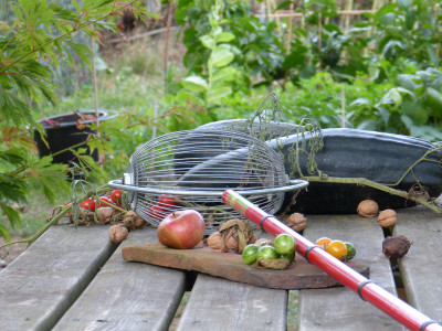 2018-09-22 Gartenimpressionen 8.jpg