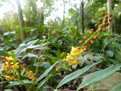 P1020290.JPG
