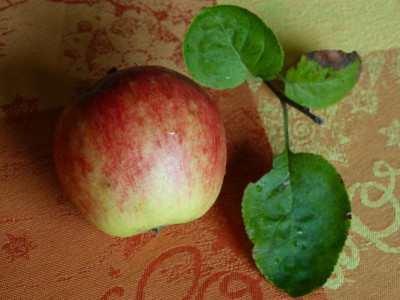P1050289.JPG