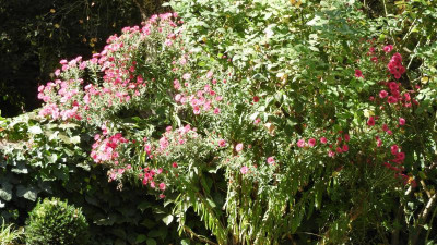 DSCN3718.JPG
