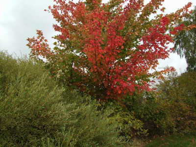 23.09.2018 13-23-27_6610.jpg