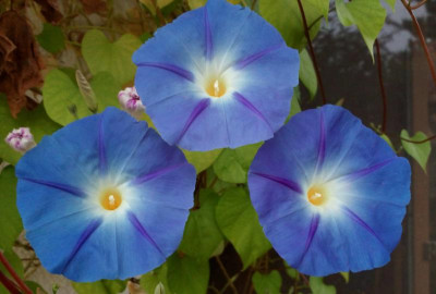 _20180923_165019.JPG