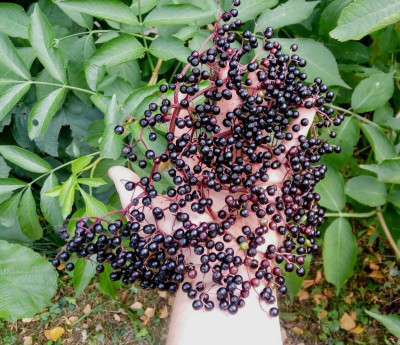 20180812_173737.jpg