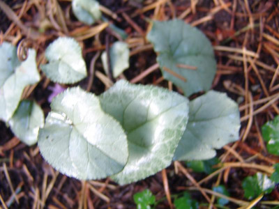 DSC02899.JPG