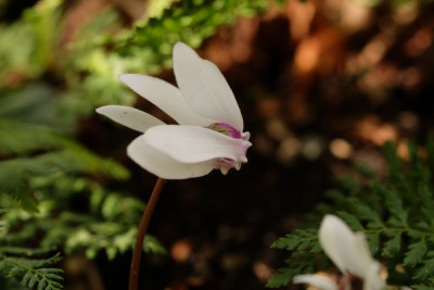 DSCF6797_3398.JPG
