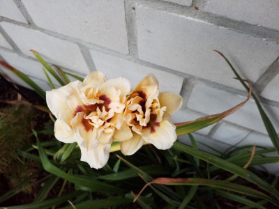 20180926_183135.jpg