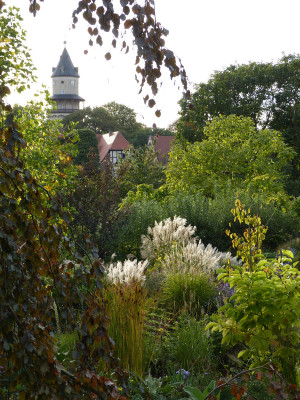2018-09-26 Garteneinblick 2.jpg