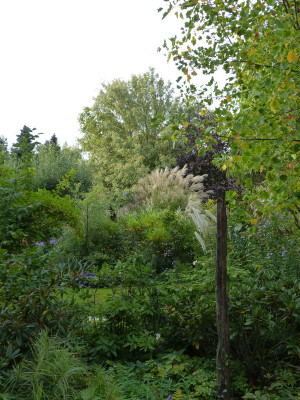 2018-09-26 Garteneinblick 1.jpg