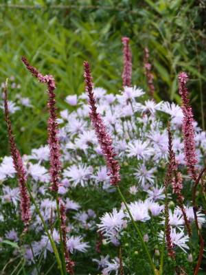 2018-09-26 Gartenimpressionen 6.jpg