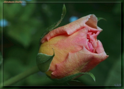 new_comp_Abraham_Darby.jpg