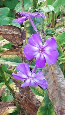 20180921_075626.jpg