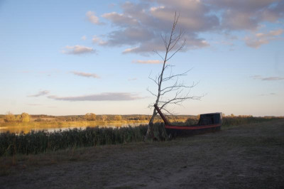 DSC_3877.JPG