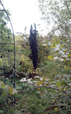 20181003_155838.jpg