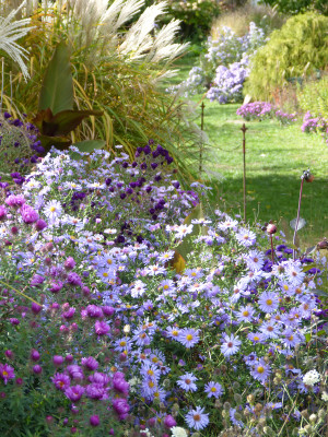 2018-10-03 Gartenimpressionen 1.jpg