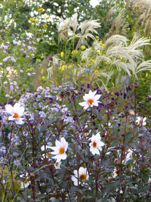 2018-10-03 Gartenimpressionen 4.jpg