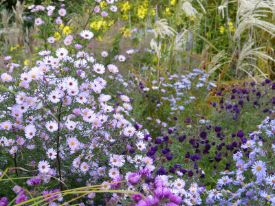 2018-10-03 Gartenimpressionen 6.jpg