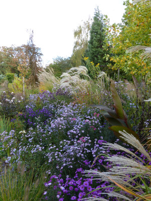 2018-10-03 Gartenimpressionen 7.jpg