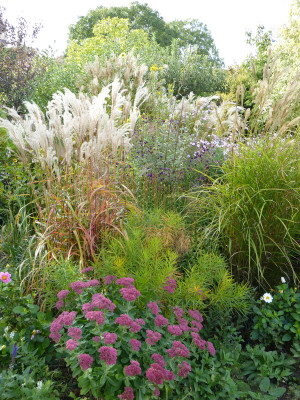 2018-10-03 Gartenimpressionen 10.jpg
