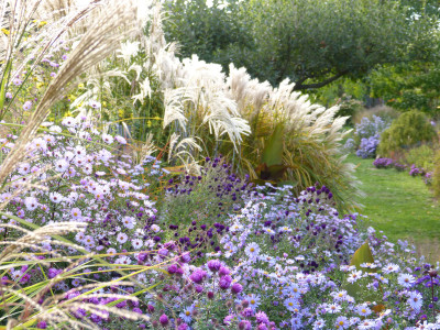 2018-10-03 Gartenimpressionen 12.jpg