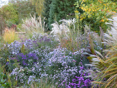2018-10-03 Gartenimpressionen 15.jpg