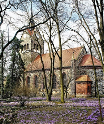 DSC03299 - Kopie.JPG