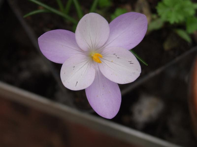 DSCF5617.JPG