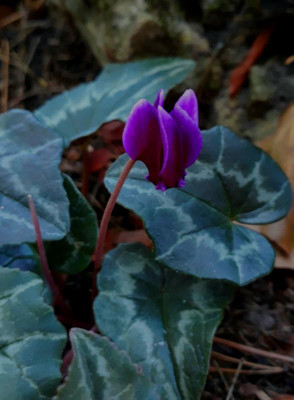 20181005_164619.jpg