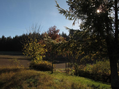 nordokt151.img.JPG